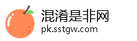 混淆是非网